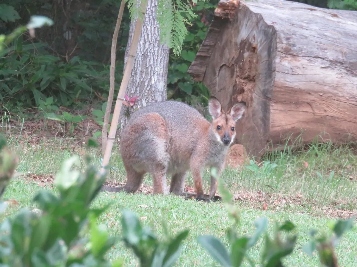 Keillor Lodge Maleny Bed and breakfast